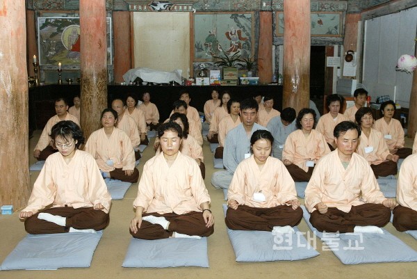 스테이종이와나무 이미지
