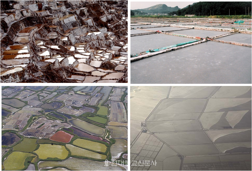 지역에 따라 다른 염전, 좌측 상단 페루, 우측 상단 한국, 좌측 하단 프랑스, 우측 하단 중국.