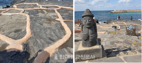 제주 돌 소금 염전(갯벌이 없는  제주도는 돌 위에서 소금 제조)