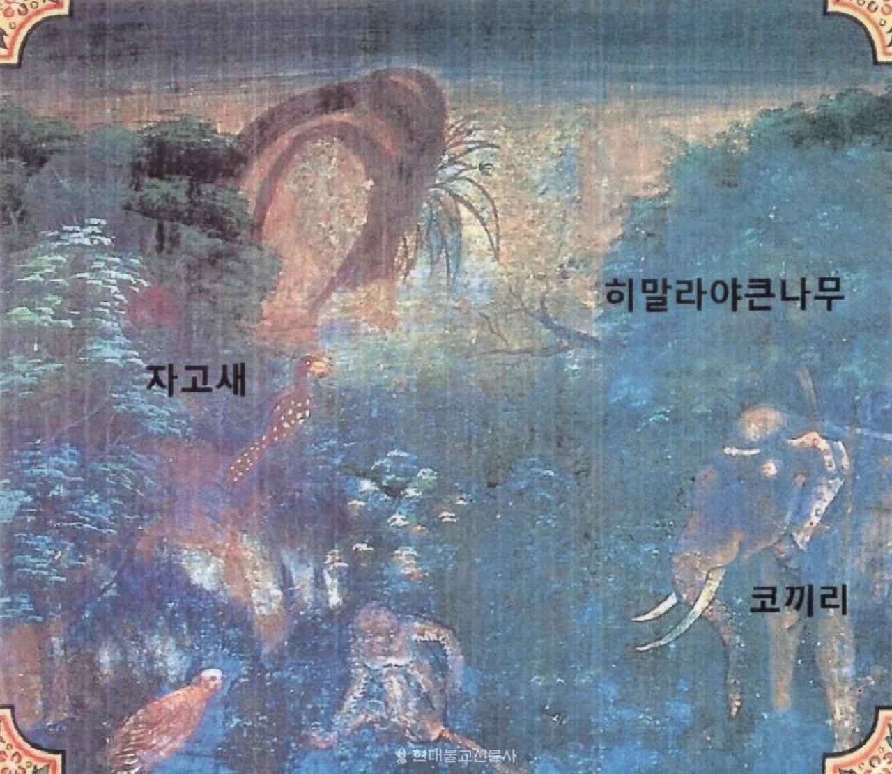 그림① 태국 방콕 왓 크루아완 와라위한 사원 벽화 〈자고새 자타카〉의 부분. 태국 아유타야 왕국시기인 15세기 경 조성됐다.