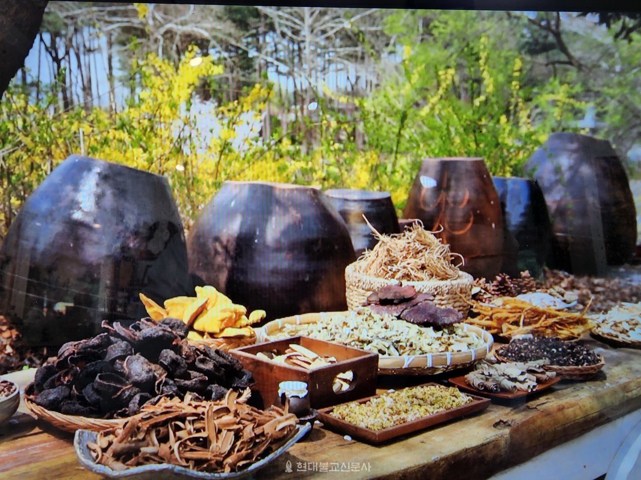 한방차의 재료가 되는 약재들