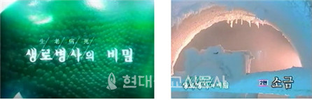 KBS 생로병사의 비밀 소금 편에 먹어도 좋은 건강 소금으로 소개