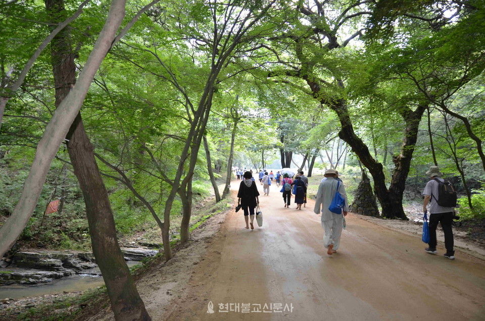 고운사 천년 숲길