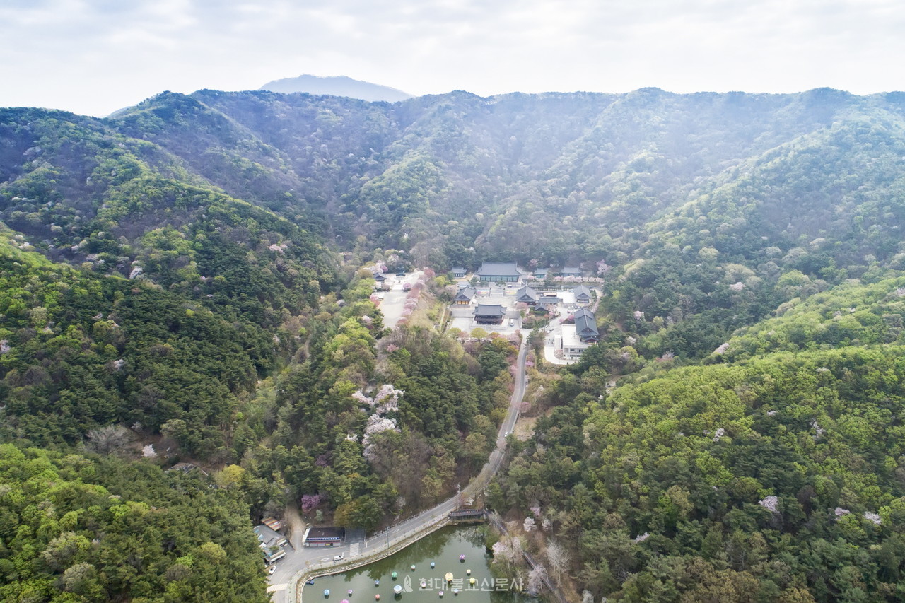 각원사 전경.