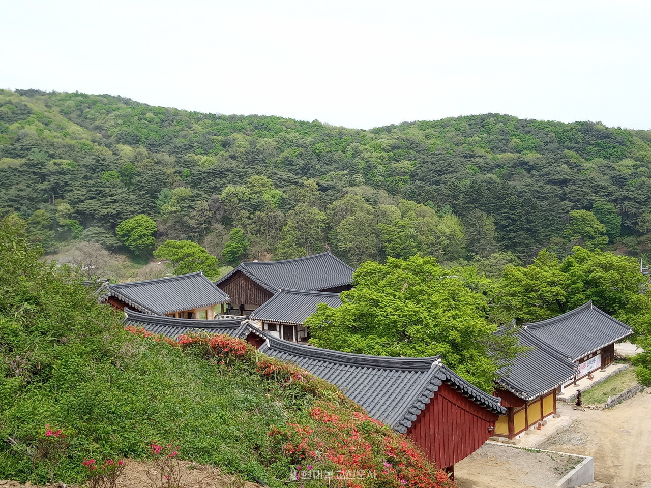 경기 안성 칠장사 전경.