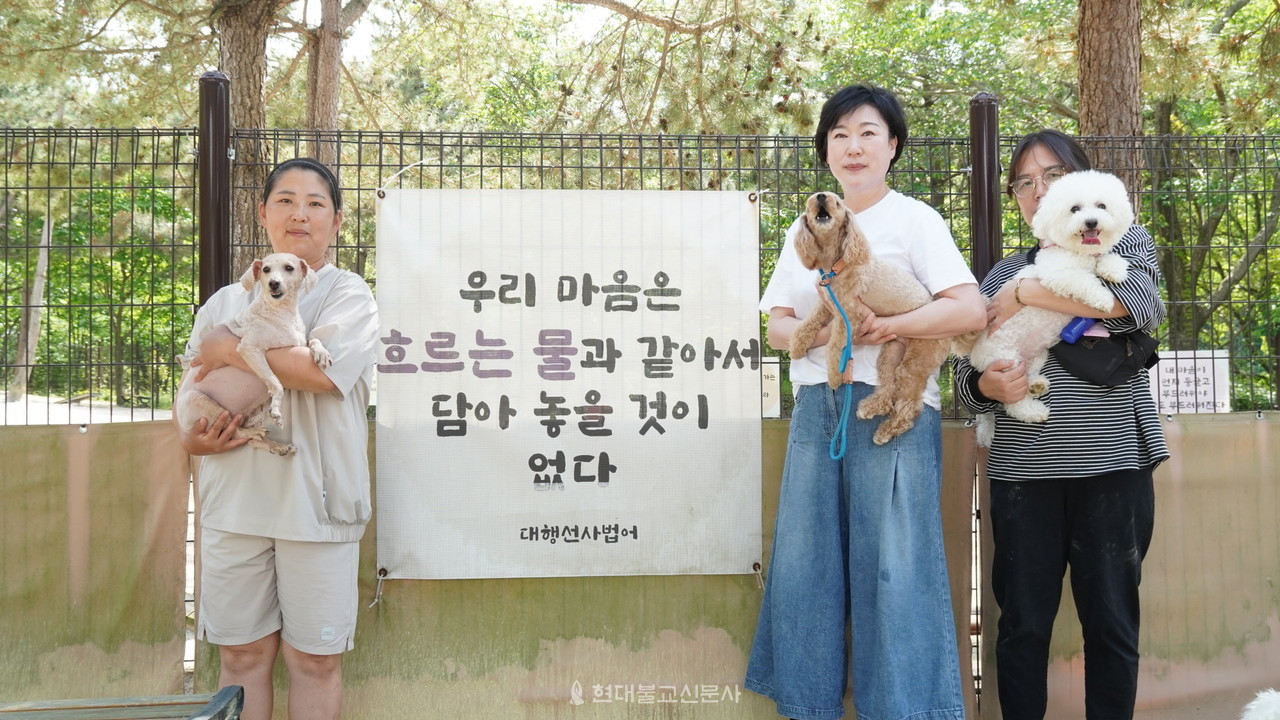 한마음선원 통영지원 ‘반려동물 놀이터’를 이용하는 견주와 반려견들이 대행 선사 법어 현수막 앞에서 촬영에 임하고 있다. 
