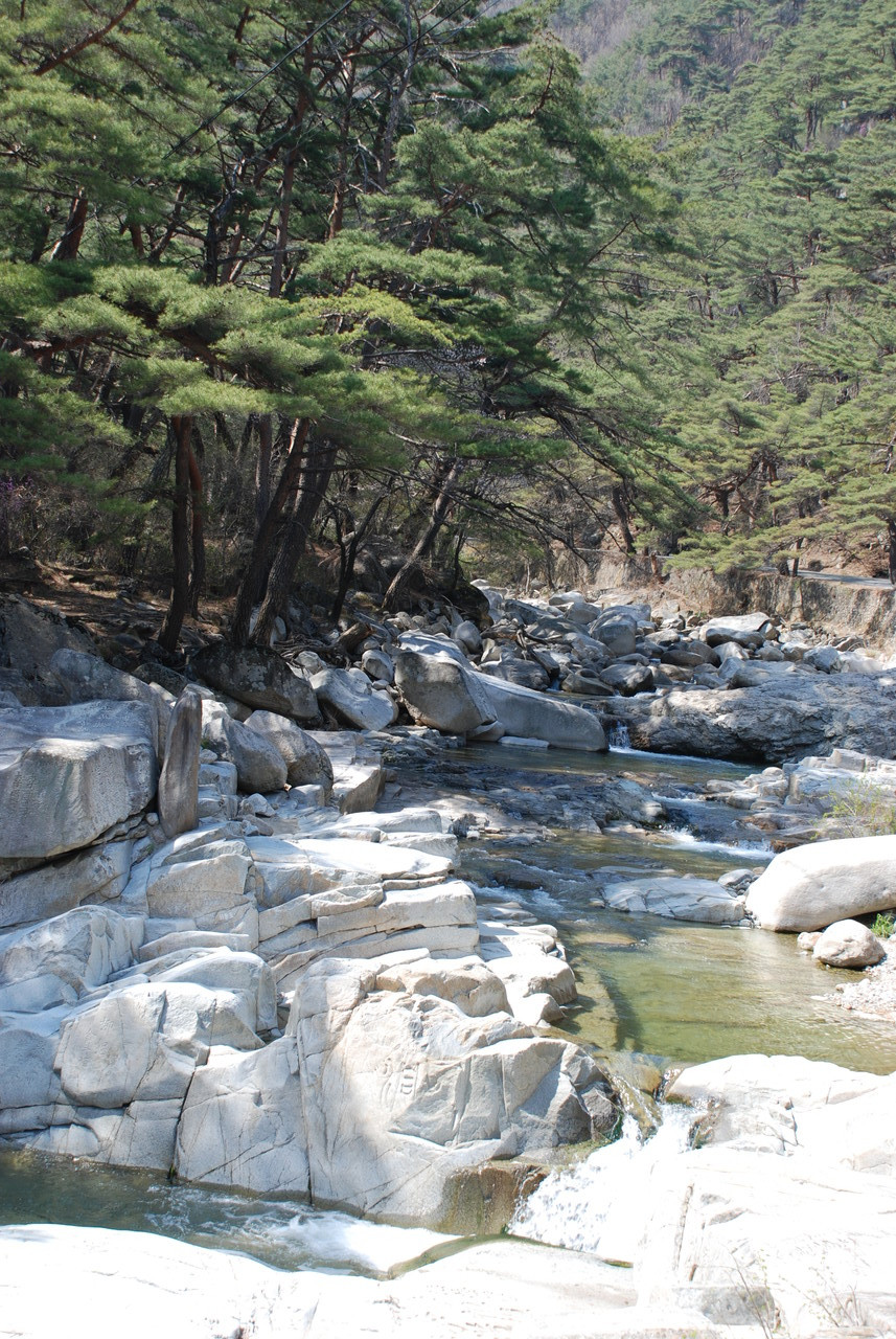 가야산 홍류동 계곡.