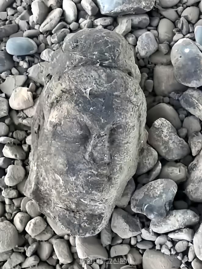 ���� �������� �߰ߵ� ��� ���� �ҵ�.​​​​​​​ ������ó=����¡û�⺸