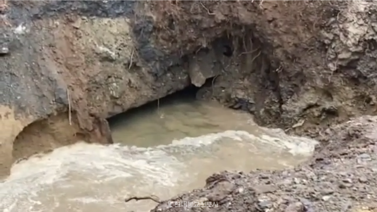 9월 25일 발굴조사에서 첫 발견된 물길. 소나무 판자를 제거하자 구조물과 물길이 발견됐다. (사진출처=새기는 회)