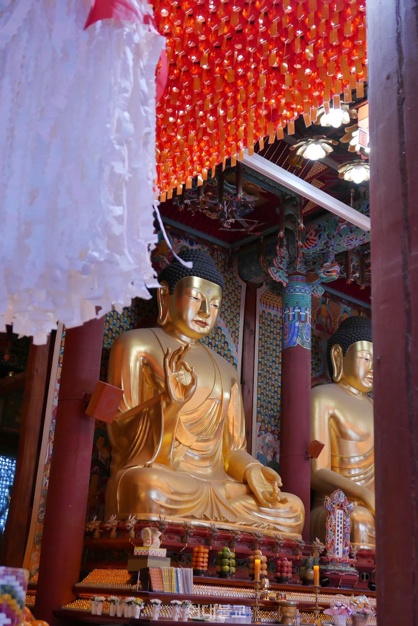 조계종 총본산 조계사. 뭇 생명을 위해 켜진 등불이 항상 반짝인다.