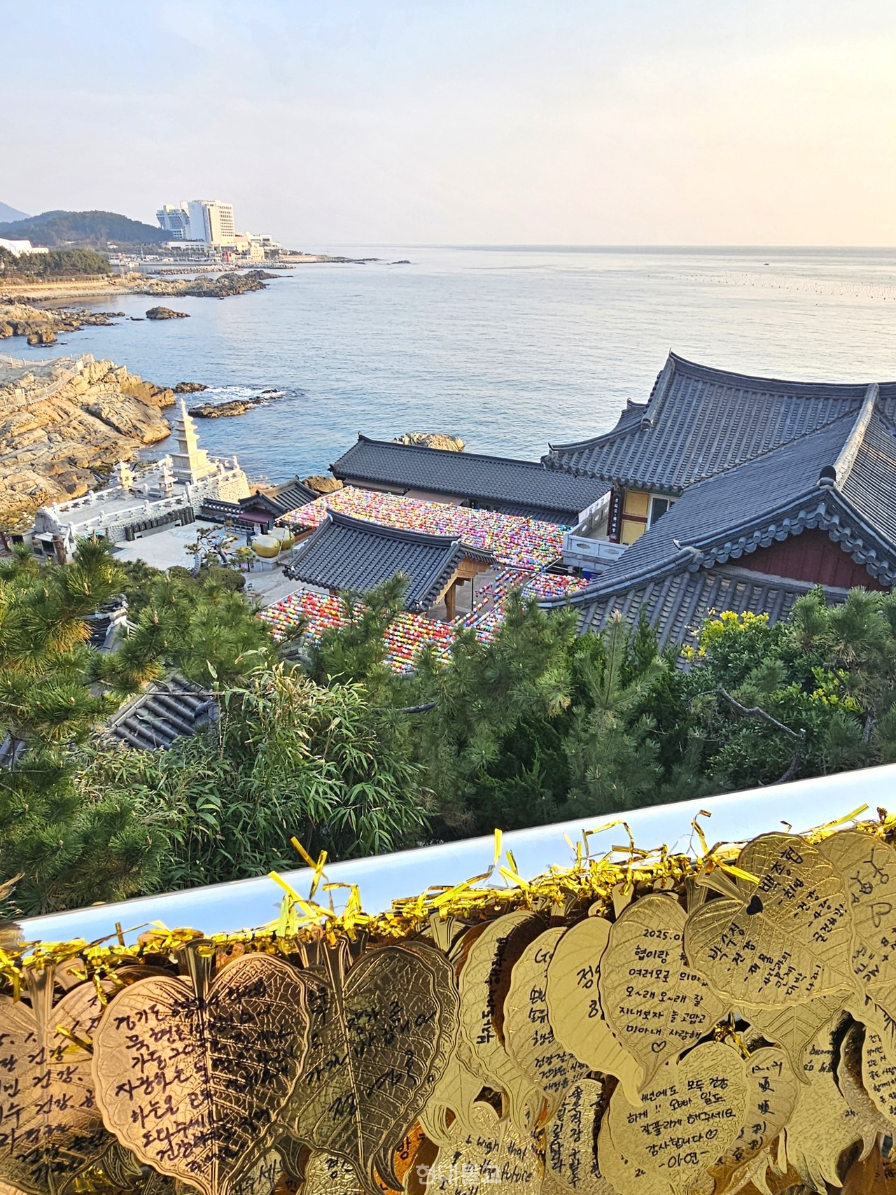 경내를 가득 채운 참배객들의 소원지. 사람들에게 마음의 의지처가 되어준다.