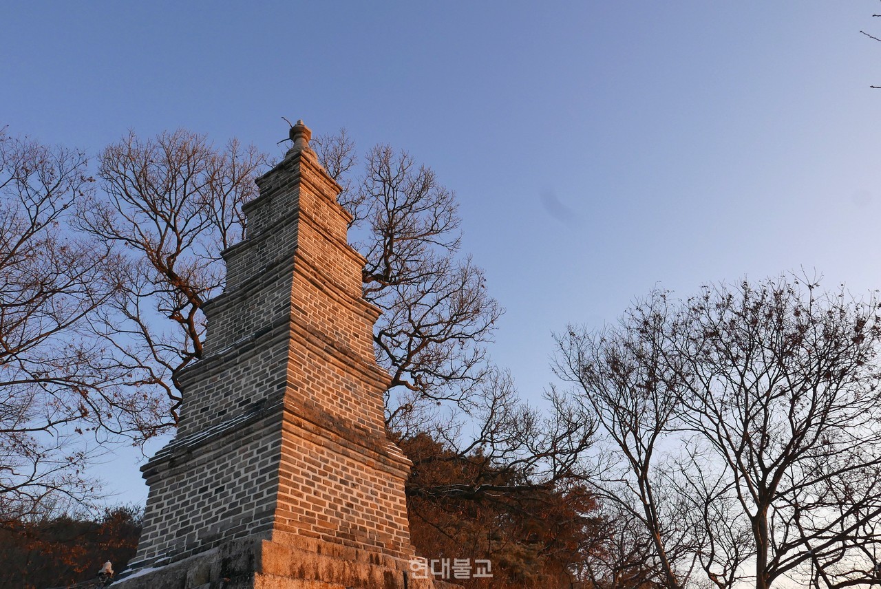 남한강을 내려다 보고 있는 다층전탑. 물살 거센 절벽 위에 세워져 삼존의 터와 강을 지친 수호의 화신이다.