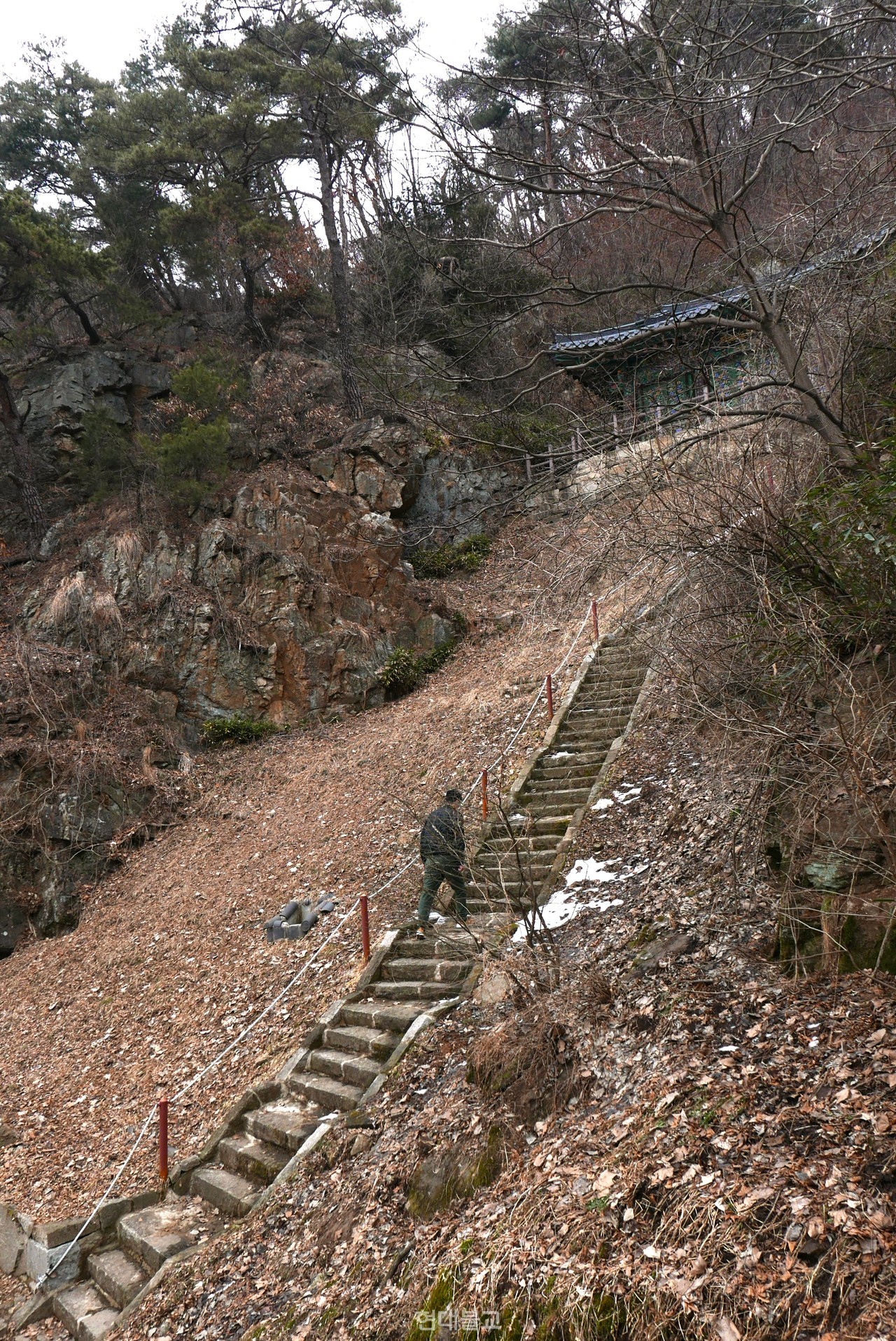 용덕사의 숨겨진 백미는 깊은 숲 너머, 산길을 오를 때 다시 드러난다.