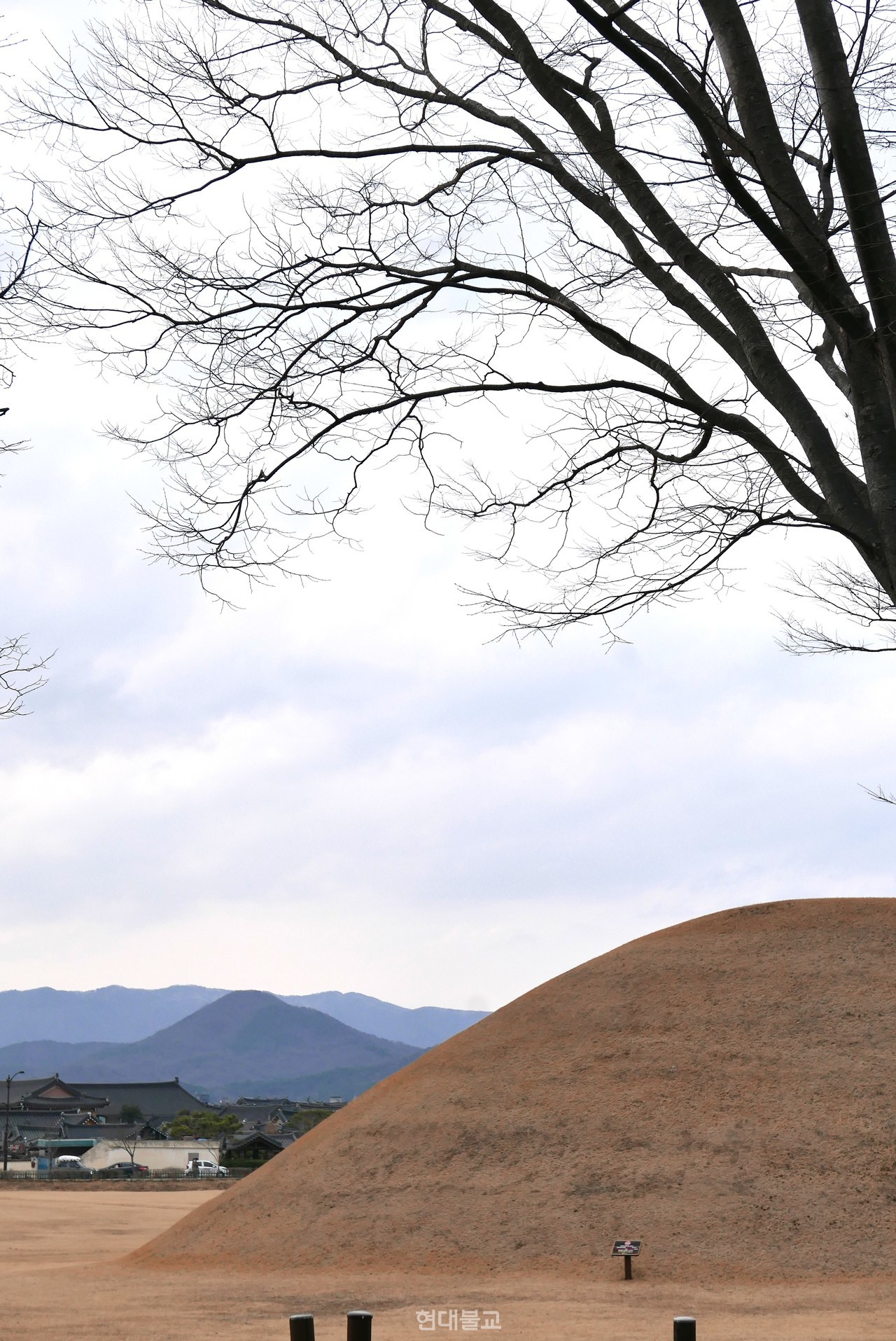 월성지구 왕릉. 저 멀리 경주 남산이 보인다.