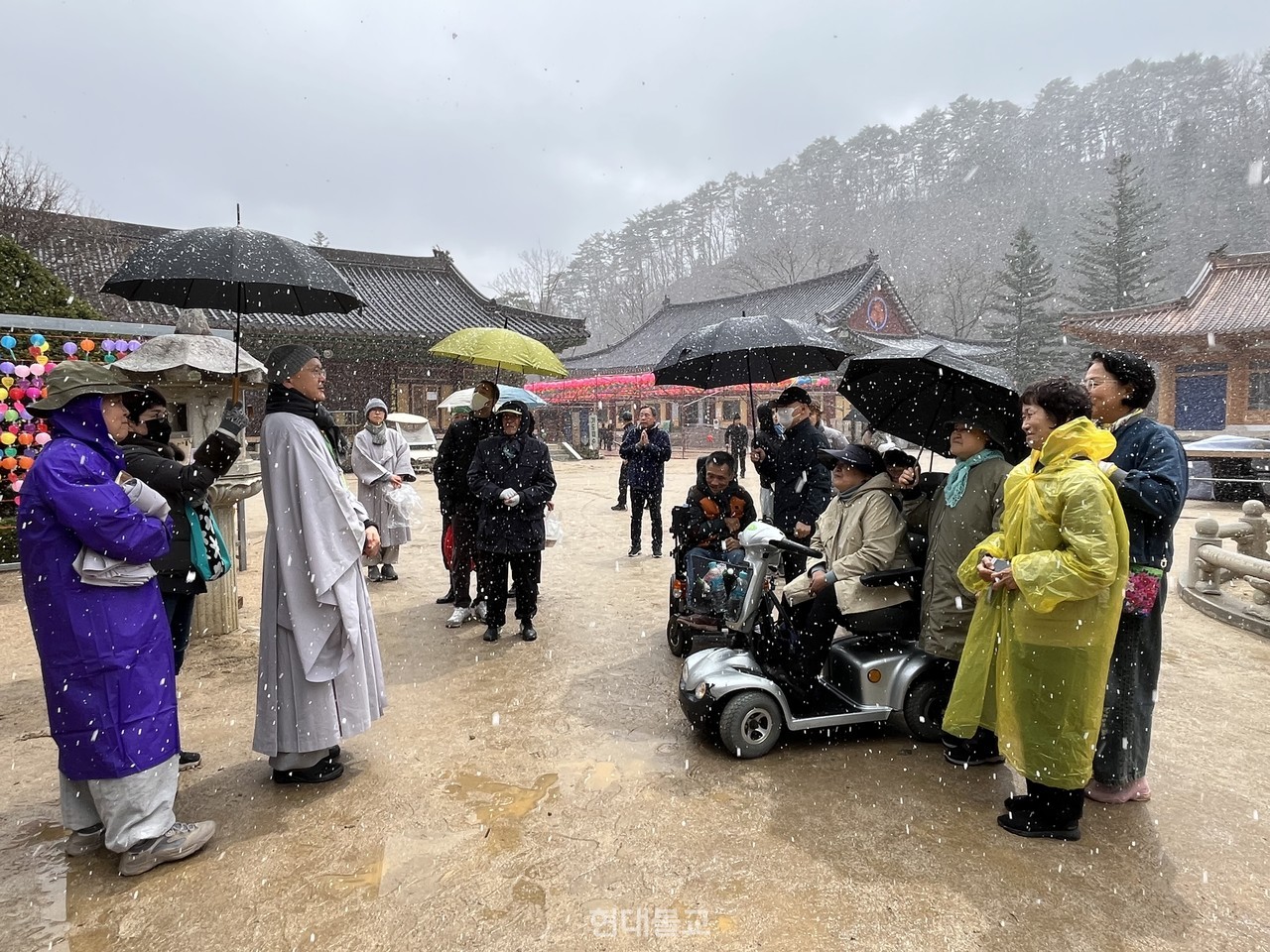 월엄 스님의 안내로 월정사 경내를 둘러봤다