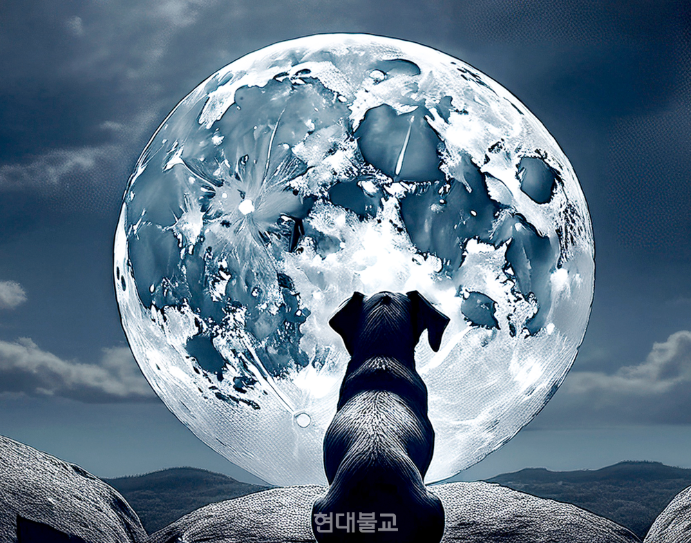 개가 달 봤다, 이제 달이 개를 본다. ⓒ강소연