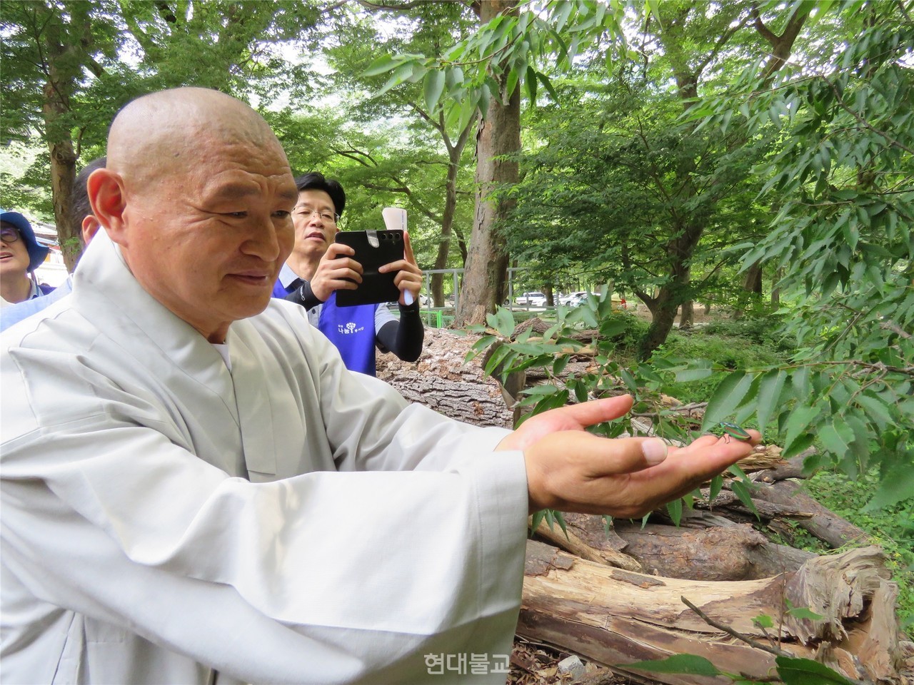6월 19일 경남 밀양 표충사 주지 진각 스님이 ㈜숲속의작은친구들이 인공 증식한 천연기념물 비단벌레를 자연에 방사하고 있다. 