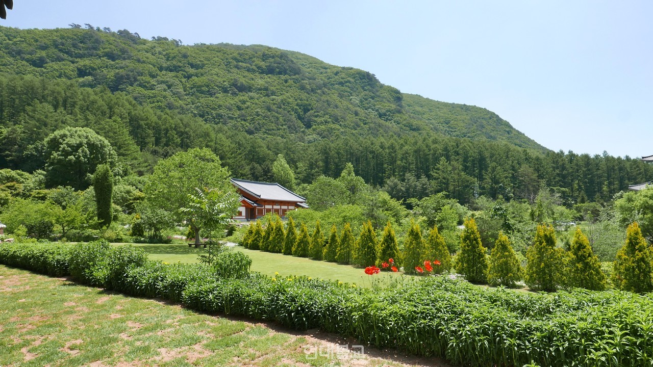 망경대산 해발 800m에 자리한 망경산사 전경. 사역은 스님과 자원봉사자들의 손길로 정성스레 가꾸어져 있다.