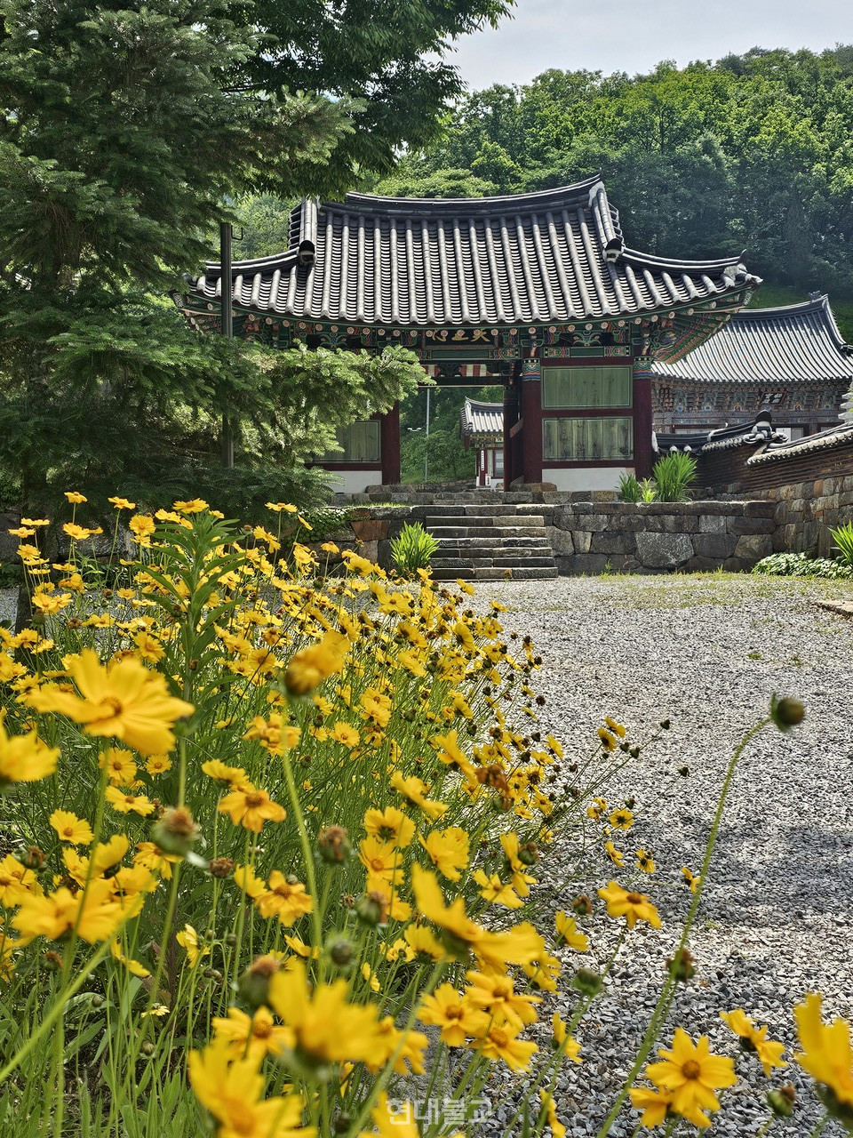 보덕사 사천왕문.