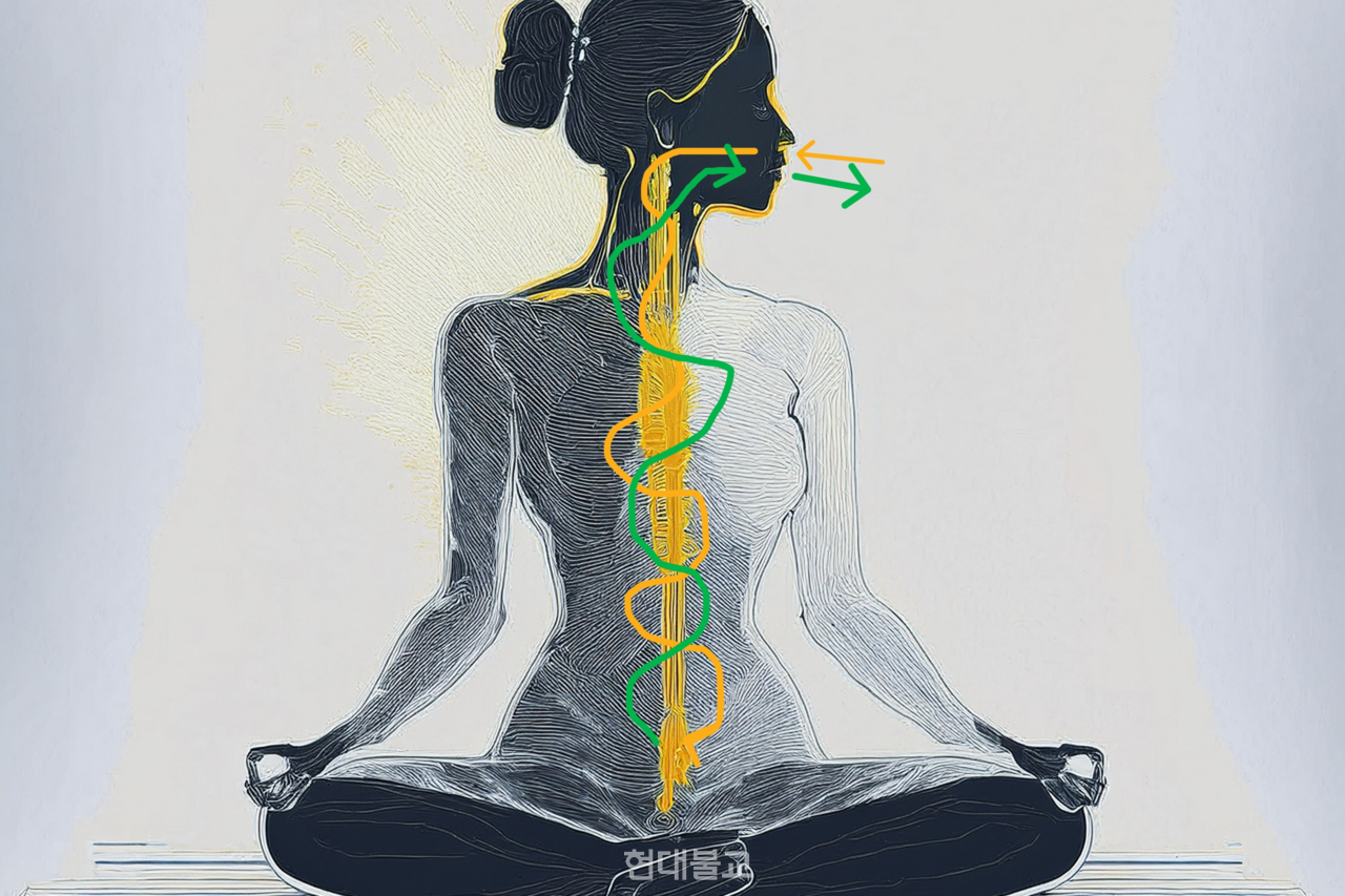 몸이라는 껍데기는 버리고, 공기의 흐름을 본다. ⓒ강소연