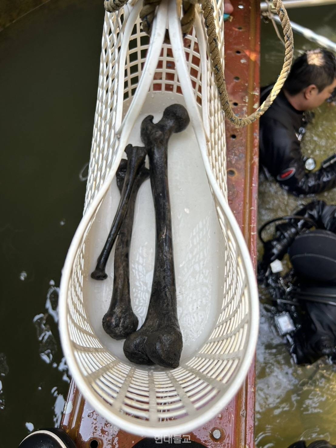 이번 잠수 안전조치 작업 중 발견된 희생자 유해 중 일부.  사진 제공=관음종.