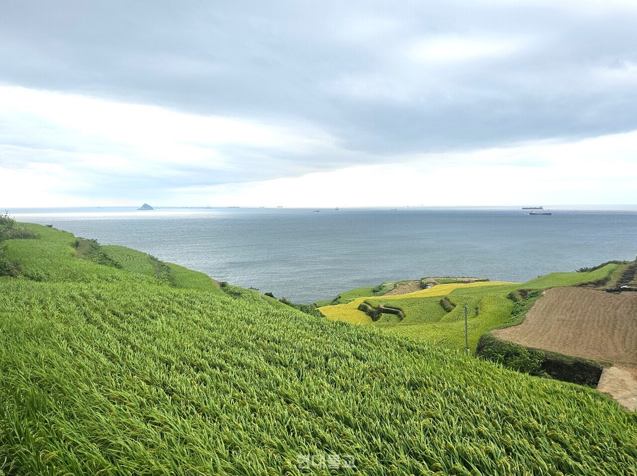 남해 다랭이마을. 척박한 땅에서 곡식을 얻기 위해 만들어진 계단형 다랑논이 특징이다.  