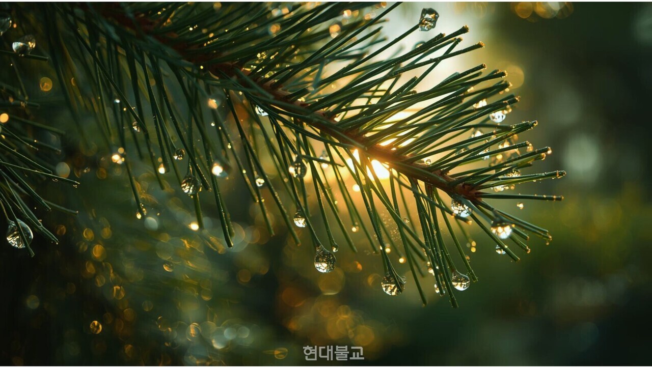 해당 삽화는 진우 스님의 선명상 게송을 생성형AI에 입력해 제작했습니다.