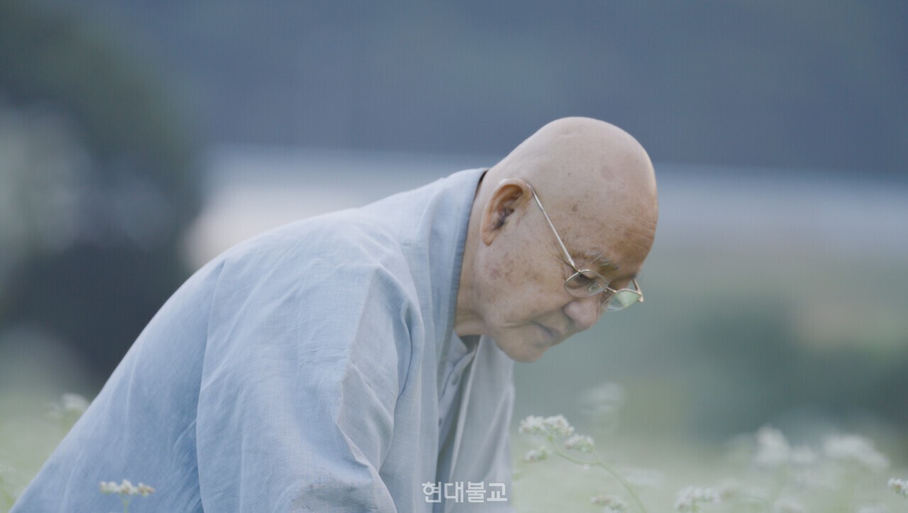 조계종 종정 중봉 성파 대종사.