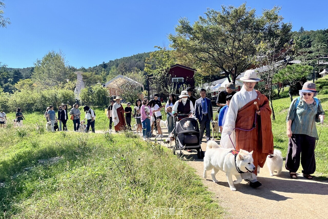 2024년 봉선사는 시대 흐름에 맞춘 ‘반려견과 함께하는 선명상 축제’를 개최해 큰 호응을 얻었다.