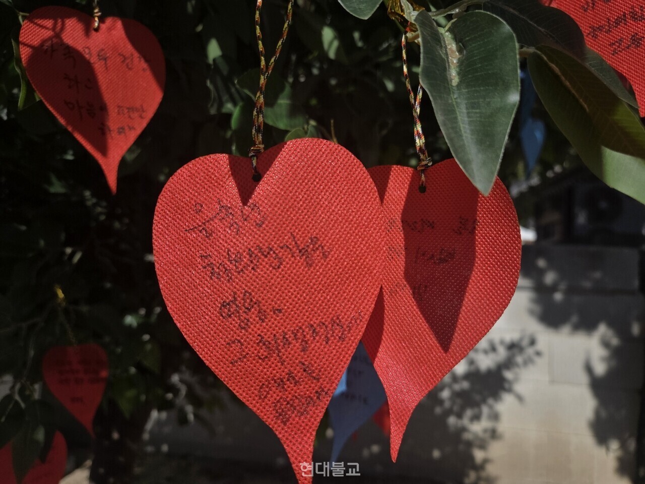 추모 발원문 달기.