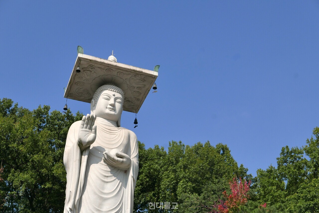 봉은사 미륵대불이 삼성동 일대를 내려다보고 있다. 