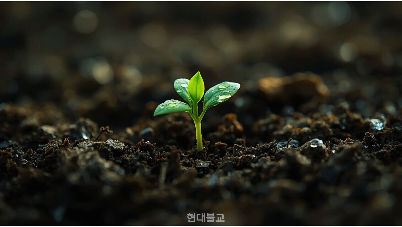 해당 삽화는 진우 스님 한글 선명상 게송을 생성형 AI에 입력해 제작했습니다.