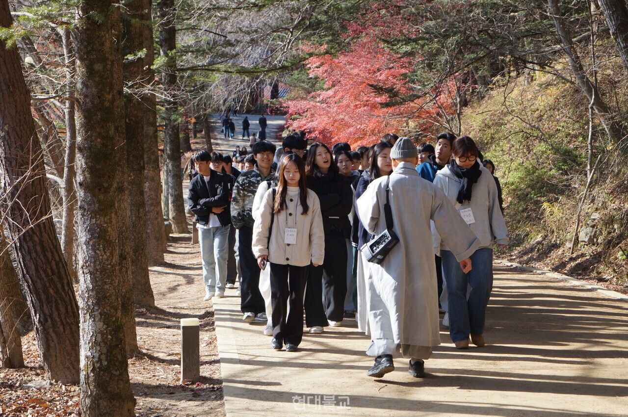전나무숲길에서 진행된 '걷기명상체험'