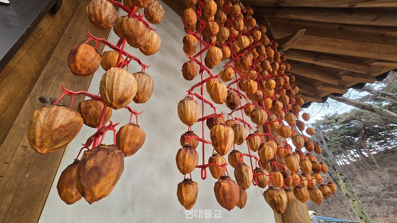 전등각 곳곳에서는 감을 말리고 풍경을 만날 수 있다.