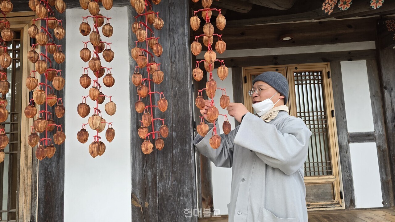 총무 지불 스님이 기자들에게 말린 감을 나눠주고 있다.