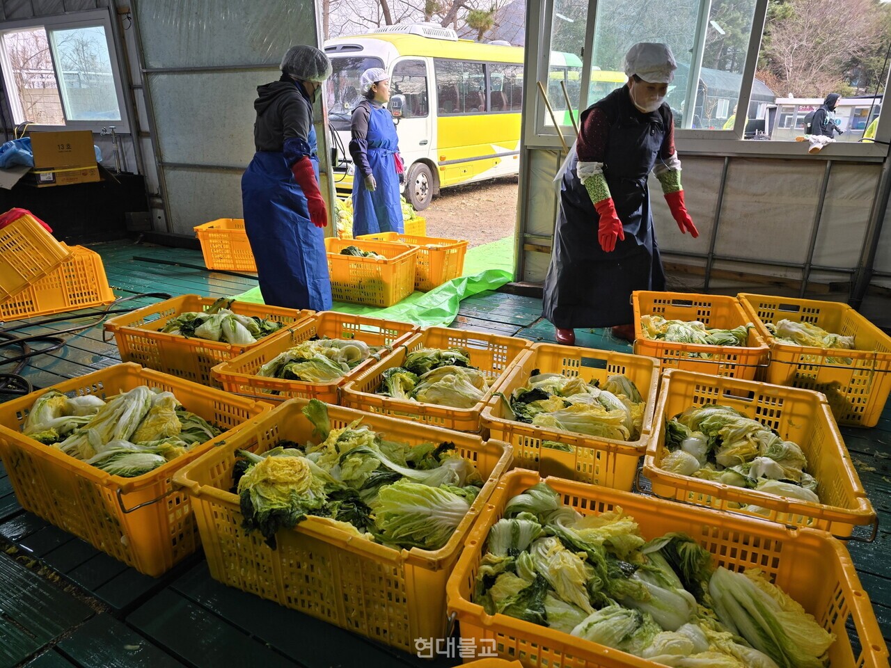 ȫ���� �泻 ûǳ�翡�� ���� ������ ���� �۾��� �̾����� ���, �����ڵ��� ��¿� ��â�̴�.