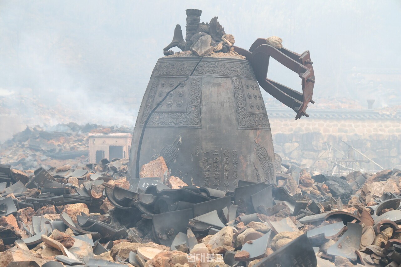 영남 산불 1년, 희망이란 새싹 피우다 - 뉴스 썸네일 이미지