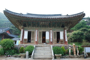 [설화탐사대] 불교 탄압에 은행나무마저 열매 안 맺었다