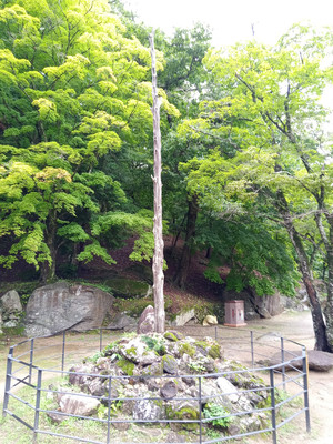 [설화 탐사대] 과거 16분·미래 2분 스승이 佛法 펼칠 승보종찰
