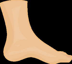 [홍재화의 걷기 삼매경] 맨발에 가까운 신발이 ‘발 건강’ 지킨다