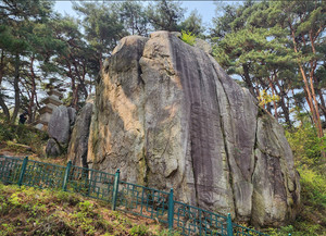 [무진 스님의 불국토 경주 남산에 오르다] 21. 탑곡 마애조상군