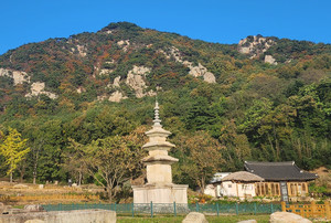[불국토 경주 남산에 오르다] 22. 동남산 소재 석탑들