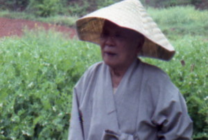 [박동춘의 차 이야기] 24. 茶聖 초의 선사