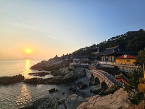 [장보배의 24번의 계절] 3. 입춘 _ 부산 길을 걷다