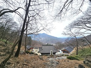 [장보배의 24번의 계절] 5. 경칩 _ 용인 길을 걷다