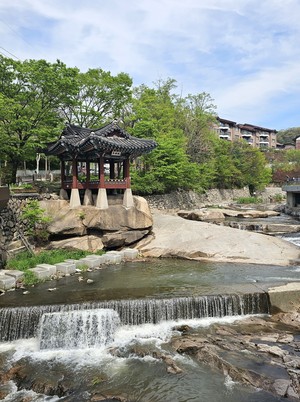 [장보배의 24번의 계절] 9. 입하 _ 홍제천 길을 걷다