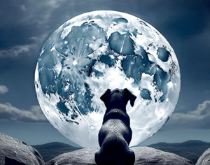 [강소연의 수행 다이어리] ‘존재의 감옥’서 탈출하는 법