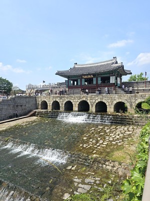 [장보배의 24번의 계절] 11. 망종 _ 수원 길을 걷다