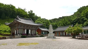 [장보배의 24번의 계절] 13. 소서_영월길을 걷다(下)