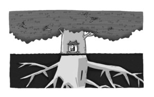 [길을 묻는 이에게] 물질세계와 내면세계가 둘이 아님을 반드시 알아야 합니다